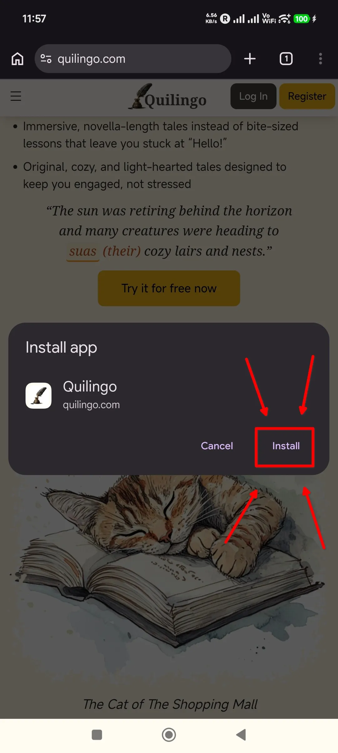 Step 3: Confirm with “Install”